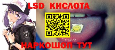 прущие грибы Кингисепп
