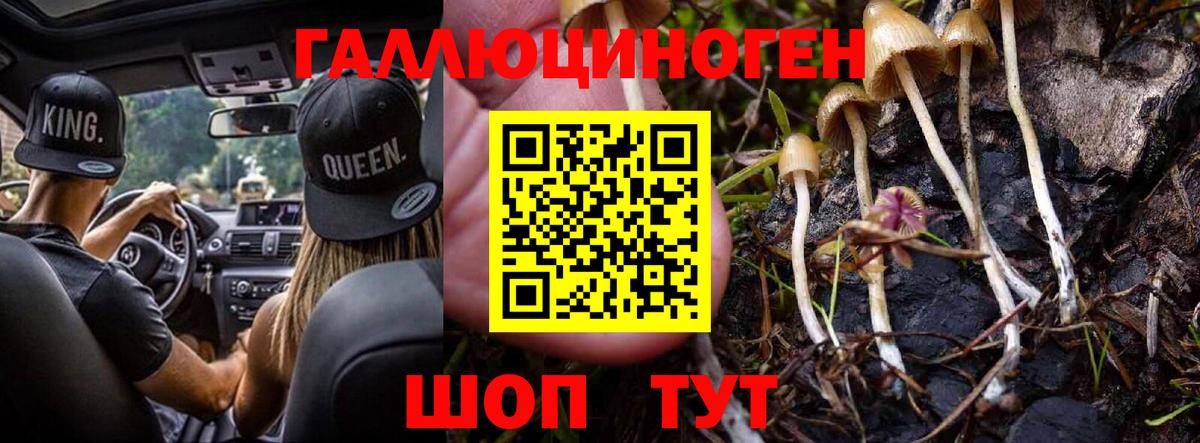Псилоцибиновые грибы Magic Shrooms Кольчугино